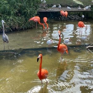 Meet your Posher, Larissa